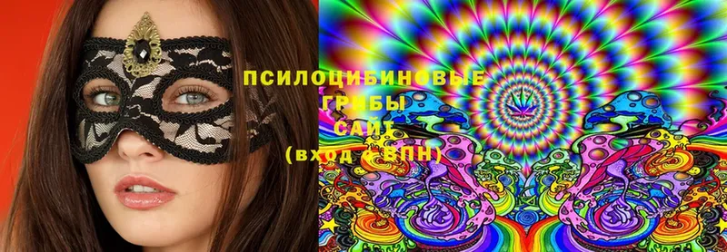 как найти закладки  Порхов  Галлюциногенные грибы Psilocybe 